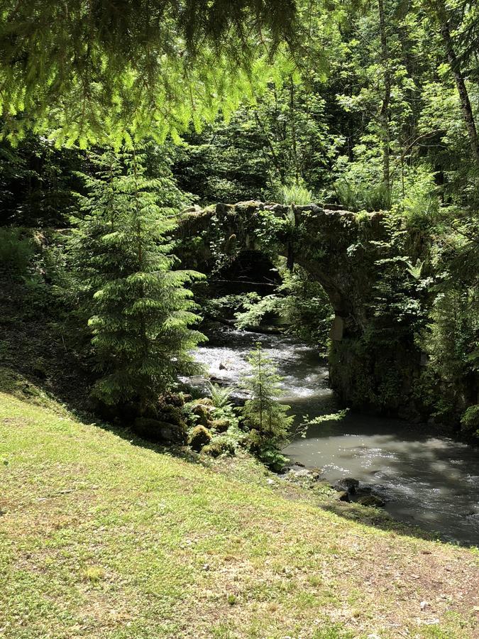 Le Moulin Des Olirics Villa Sallanches Exterior photo
